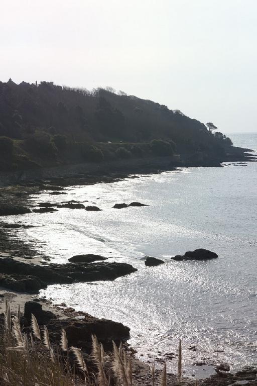 Park View Townhouse Hotel Falmouth Eksteriør billede